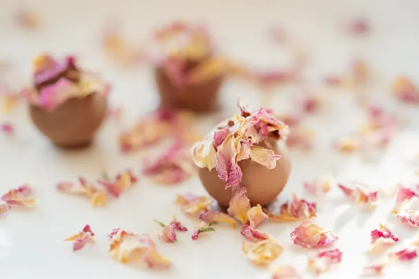 Отто Касино Казино Android/iOS приложение